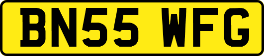 BN55WFG