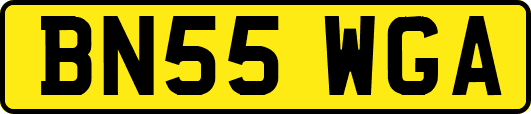 BN55WGA