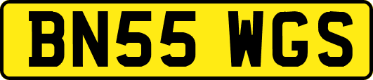 BN55WGS