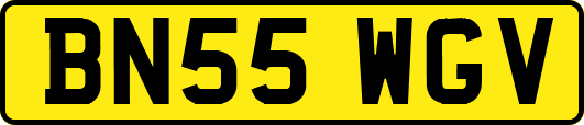 BN55WGV
