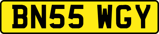BN55WGY