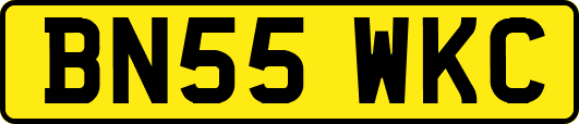 BN55WKC