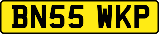 BN55WKP