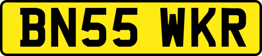 BN55WKR