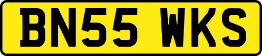 BN55WKS