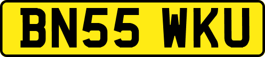 BN55WKU