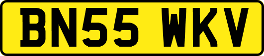 BN55WKV