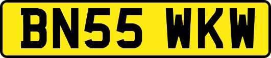 BN55WKW