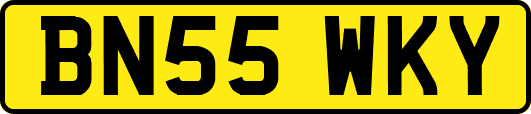 BN55WKY