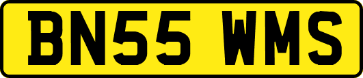 BN55WMS