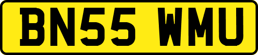 BN55WMU