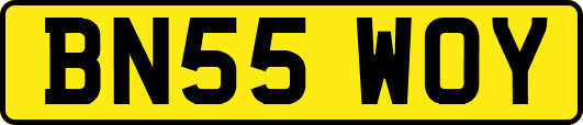 BN55WOY