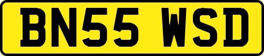 BN55WSD