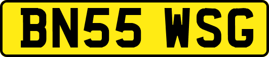 BN55WSG