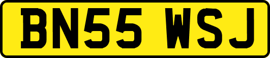 BN55WSJ