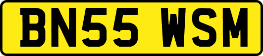BN55WSM