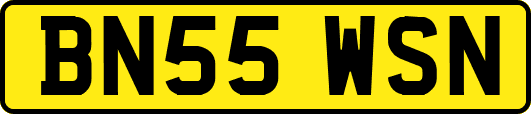 BN55WSN