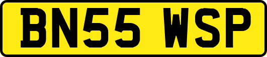 BN55WSP