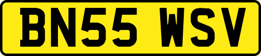 BN55WSV