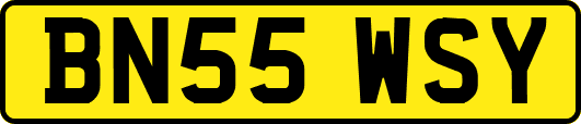 BN55WSY