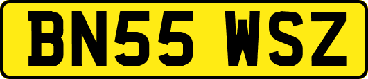 BN55WSZ