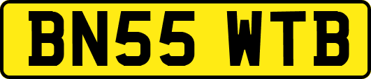 BN55WTB
