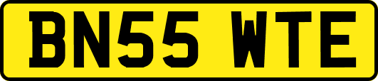 BN55WTE