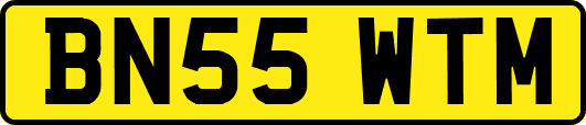 BN55WTM