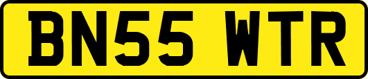 BN55WTR