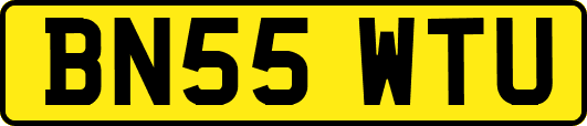 BN55WTU