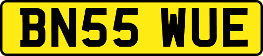 BN55WUE