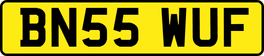 BN55WUF