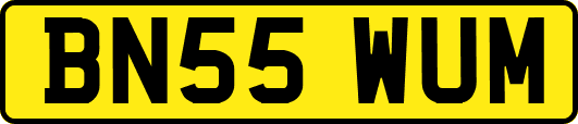 BN55WUM
