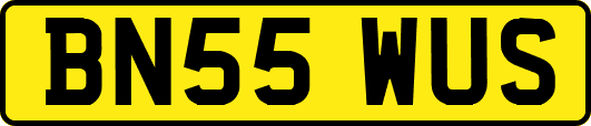 BN55WUS