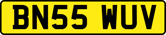 BN55WUV