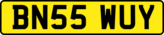 BN55WUY