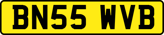 BN55WVB