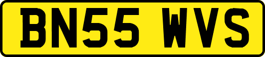 BN55WVS