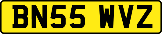 BN55WVZ