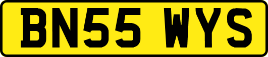 BN55WYS