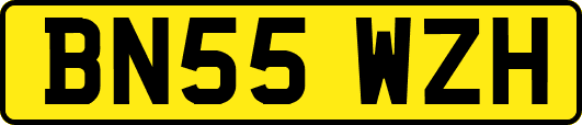 BN55WZH