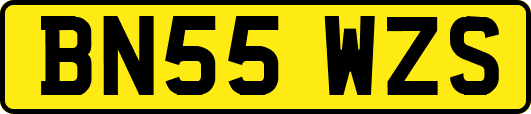 BN55WZS