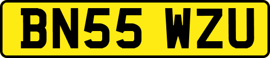 BN55WZU