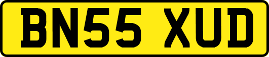 BN55XUD