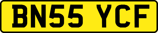 BN55YCF