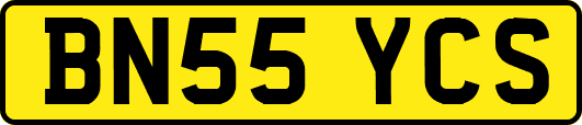 BN55YCS