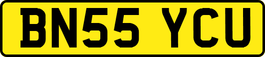BN55YCU