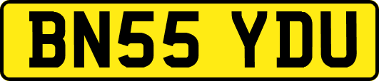 BN55YDU