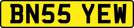 BN55YEW