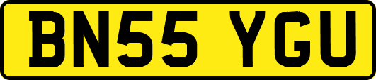 BN55YGU